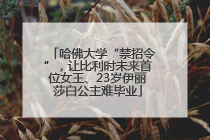 哈佛大学“禁招令”，让比利时未来首位女王、23岁伊丽莎白公主难毕业