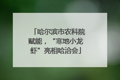 哈尔滨市农科院赋能，“寒地小龙虾”亮相哈洽会