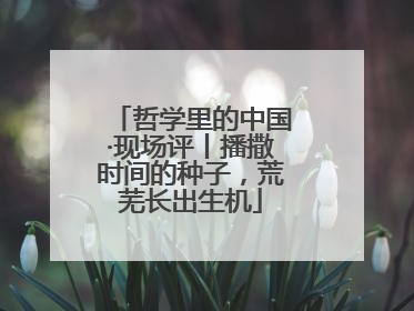 哲学里的中国·现场评丨播撒时间的种子，荒芜长出生机