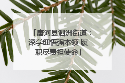 唐河县泗洲街道：深学细悟强本领 履职尽责担使命