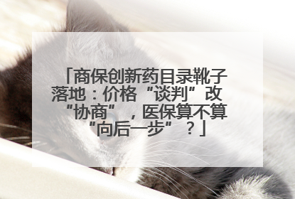 商保创新药目录靴子落地：价格“谈判”改“协商”，医保算不算“向后一步”？