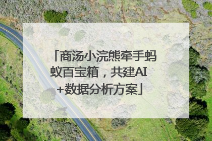 商汤小浣熊牵手蚂蚁百宝箱，共建AI+数据分析方案