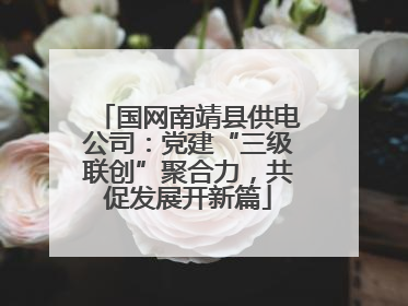 国网南靖县供电公司：党建“三级联创”聚合力，共促发展开新篇
