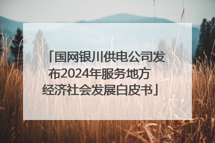 国网银川供电公司发布2024年服务地方经济社会发展白皮书
