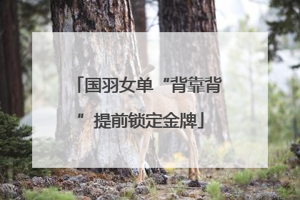 国羽女单“背靠背”提前锁定金牌