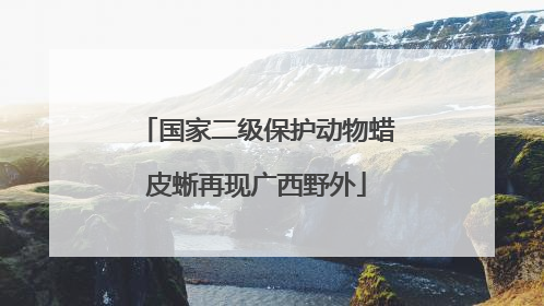 国家二级保护动物蜡皮蜥再现广西野外