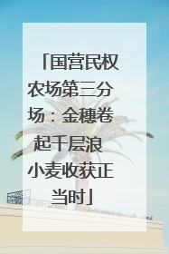 国营民权农场第三分场：金穗卷起千层浪 小麦收获正当时