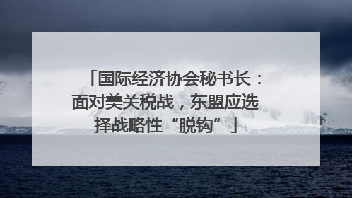 国际经济协会秘书长：面对美关税战，东盟应选择战略性“脱钩”