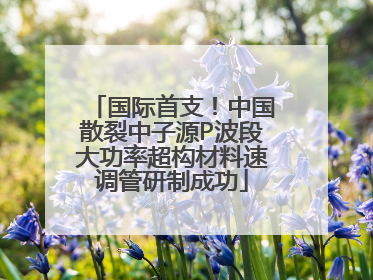 国际首支！中国散裂中子源P波段大功率超构材料速调管研制成功