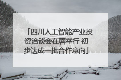 四川人工智能产业投资洽谈会在蓉举行 初步达成一批合作意向