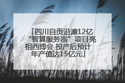 四川自贡沿滩12亿“智算服务器”项目亮相西博会 投产后预计年产值达15亿元