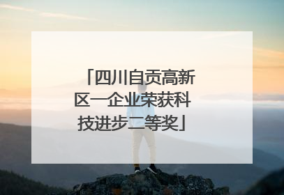 四川自贡高新区一企业荣获科技进步二等奖
