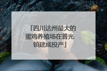 四川达州最大的蛋鸡养殖场在普光镇建成投产