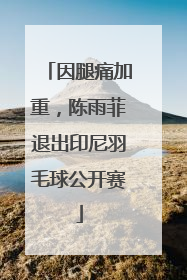 因腿痛加重，陈雨菲退出印尼羽毛球公开赛