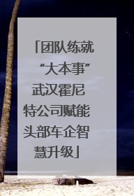 团队练就“大本事” 武汉霍尼特公司赋能头部车企智慧升级