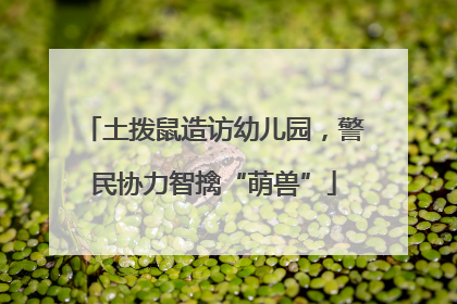 土拨鼠造访幼儿园，警民协力智擒“萌兽”