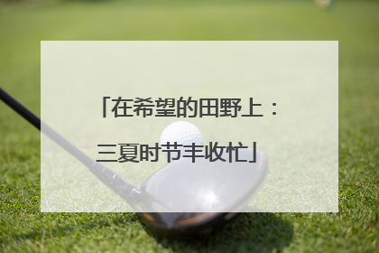 在希望的田野上：三夏时节丰收忙