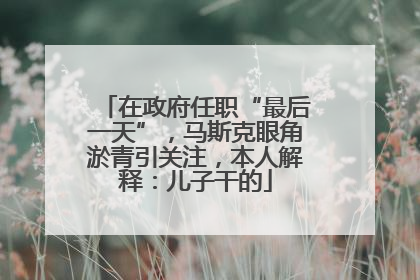 在政府任职“最后一天”，马斯克眼角淤青引关注，本人解释：儿子干的