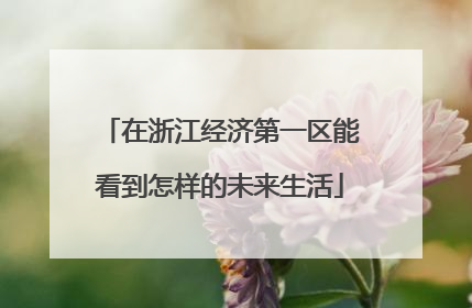 在浙江经济第一区能看到怎样的未来生活
