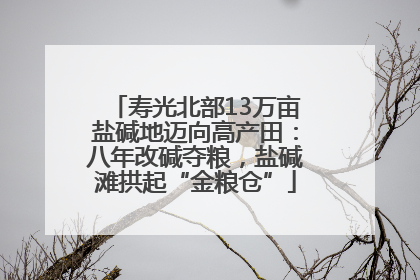 寿光北部13万亩盐碱地迈向高产田：八年改碱夺粮，盐碱滩拱起“金粮仓”