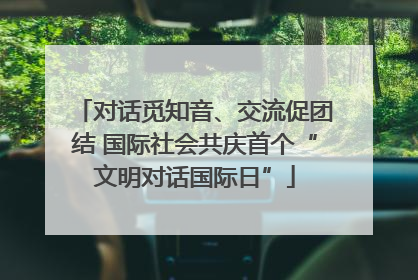 对话觅知音、交流促团结 国际社会共庆首个“文明对话国际日”