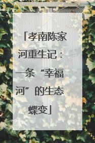 孝南陈家河重生记：一条“幸福河”的生态蝶变