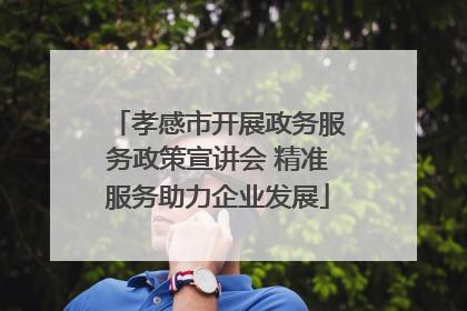 孝感市开展政务服务政策宣讲会 精准服务助力企业发展