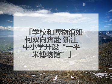 学校和博物馆如何双向奔赴 浙江中小学开设“一平米博物馆”