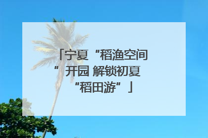 宁夏“稻渔空间”开园 解锁初夏“稻田游”