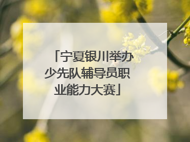 宁夏银川举办少先队辅导员职业能力大赛