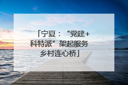 宁夏：“党建+科特派”架起服务乡村连心桥