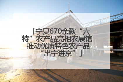 宁夏670余款“六特”农产品亮相农展馆 推动优质特色农产品“出宁进京”