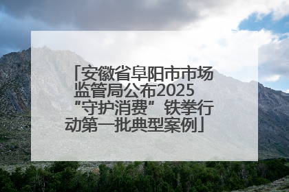 安徽省阜阳市市场监管局公布2025“守护消费”铁拳行动第一批典型案例