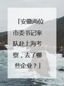 安徽两位市委书记率队赴上海考察，去了哪些企业？