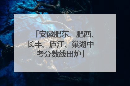 安徽肥东、肥西、长丰、庐江、巢湖中考分数线出炉