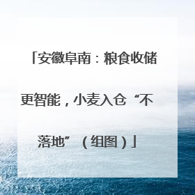 安徽阜南：粮食收储更智能，小麦入仓“不落地”（组图）