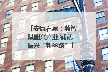 安康石泉：数智赋能兴产业 铺就振兴“新丝路”