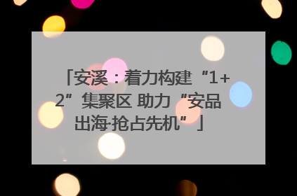 安溪：着力构建“1+2”集聚区 助力“安品出海·抢占先机”