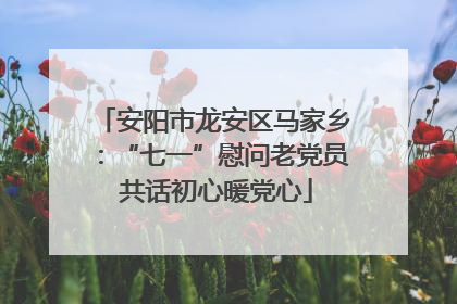 安阳市龙安区马家乡：“七一”慰问老党员 共话初心暖党心