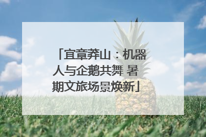 宜章莽山：机器人与企鹅共舞 暑期文旅场景焕新