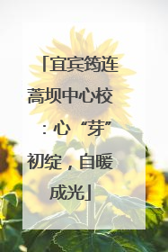 宜宾筠连蒿坝中心校：心“芽”初绽，自暖成光