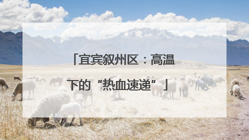 宜宾叙州区：高温下的“热血速递”