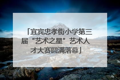 宜宾忠孝街小学第三届“艺术之星”艺术人才大赛圆满落幕