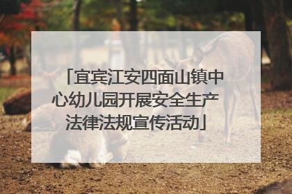 宜宾江安四面山镇中心幼儿园开展安全生产法律法规宣传活动