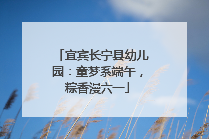 宜宾长宁县幼儿园：童梦系端午，粽香漫六一