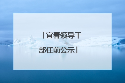 宜春领导干部任前公示