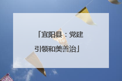 宜阳县：党建引领和美善治