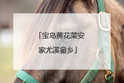 宝岛黄花菜安家尤溪畲乡