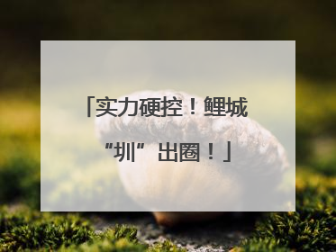 实力硬控！鲤城“圳”出圈！