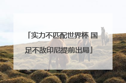 实力不匹配世界杯 国足不敌印尼提前出局
